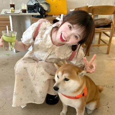 熊霸天下